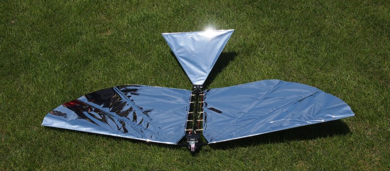 robobird 2