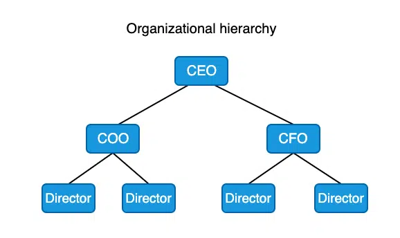 company hierarchy